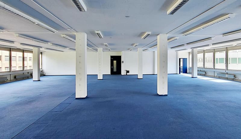 Beaucoup d'espace ouvert plus salle de réunion (4)