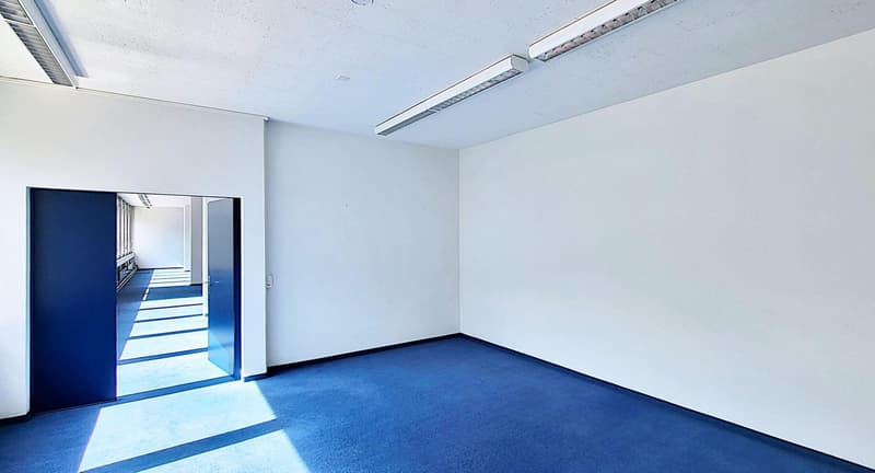 Beaucoup d'espace ouvert plus salle de réunion (5)