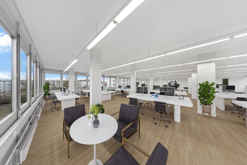 Beaucoup d'espace ouvert plus salle de réunion (7)