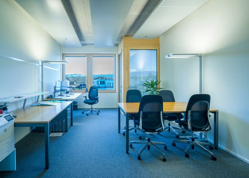 Concept di ufficio eccezionale 857 m² a Hagendorn! (4)