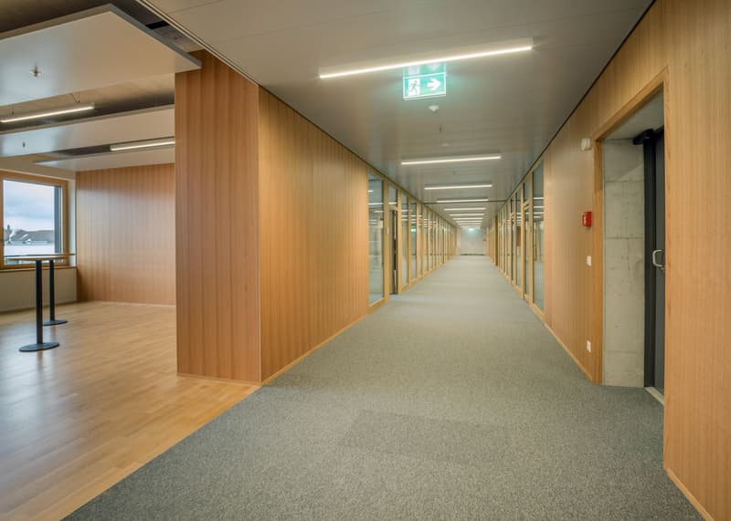Concept di ufficio eccezionale 857 m² a Hagendorn! (2)