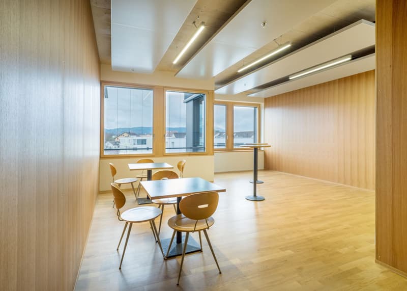 Concept di ufficio eccezionale 857 m² a Hagendorn! (5)
