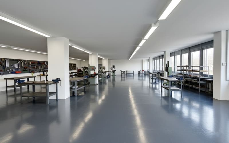 Opportunity - Attractive Commercial Space in Binz! (4)