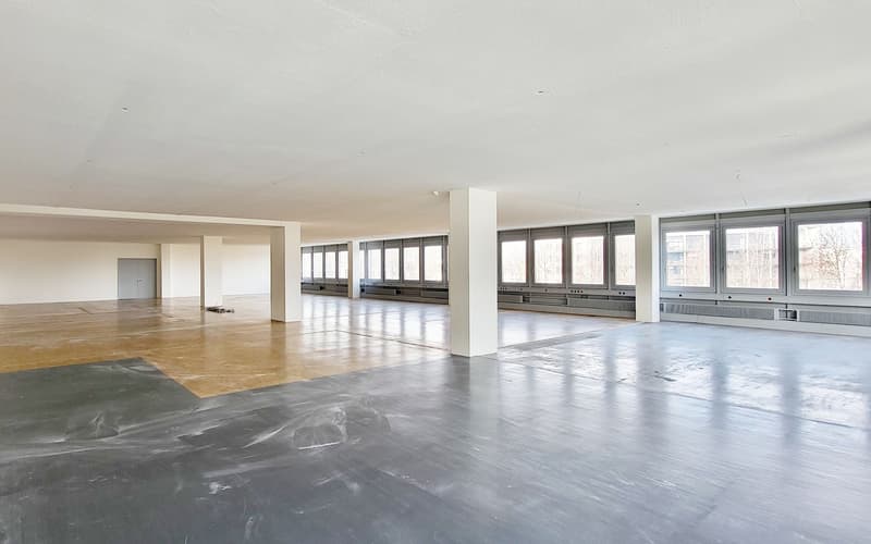 Opportunity - Attractive Commercial Space in Binz! (9)
