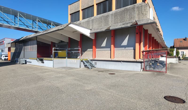 Piano terra completo con consegna e infrastruttura! (13)