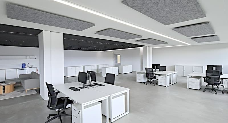 Best Views - Office/Commercial Space with Tea Kitchen in Binz! (7)