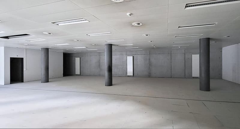 Exciting opportunity in the center of Grenchen! (3)