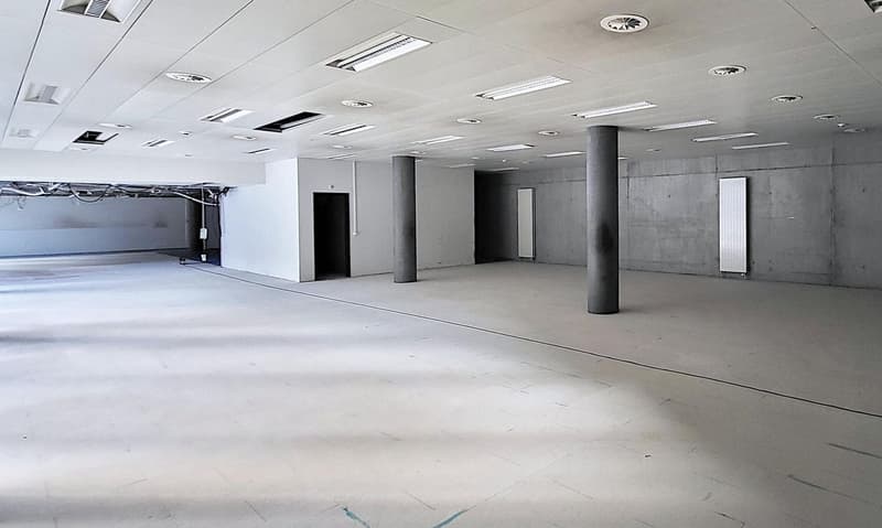 Exciting opportunity in the center of Grenchen! (2)