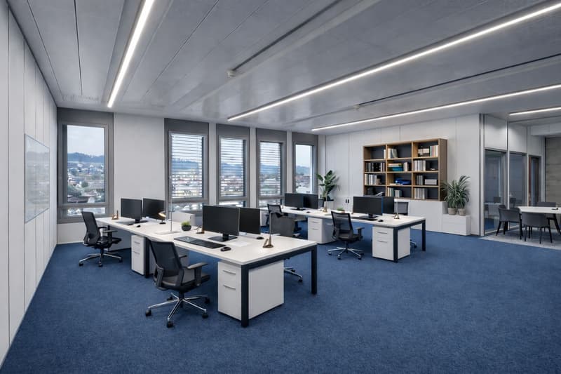 Votre nouvel emplacement sur 2'700 m²! (9)