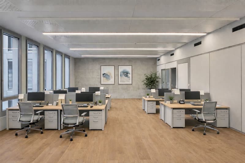 Votre nouvel emplacement sur 2'700 m²! (6)