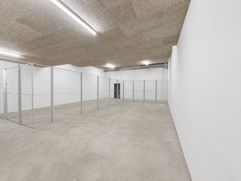 "Hohe Lagerflächen im Untergeschoss in Root! - jetzt ab 50 m²" (1)