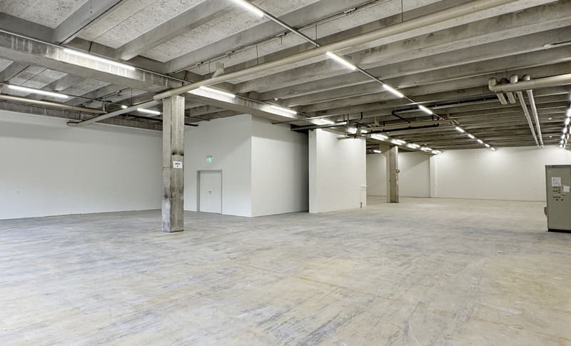 560m² - Modern industrial hall with optimal equipment in Biberist (11)
