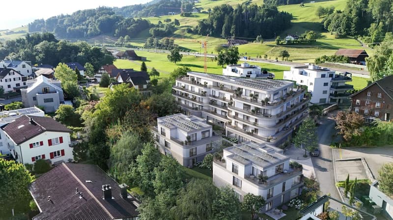 Bureaux individuels/doubles représentatifs dans un emplacement attractif - NEUF! (13)