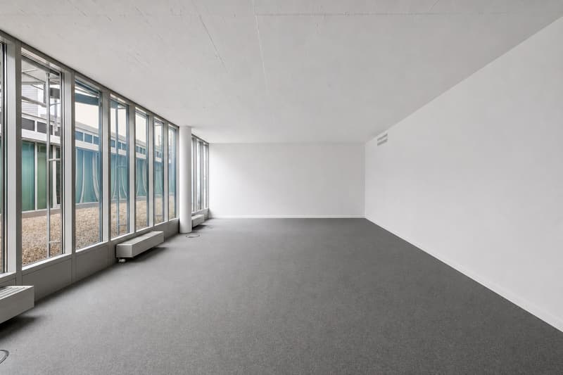 Entrare e iniziare. Spazio ufficio moderno nel centro di Brugg. (2)