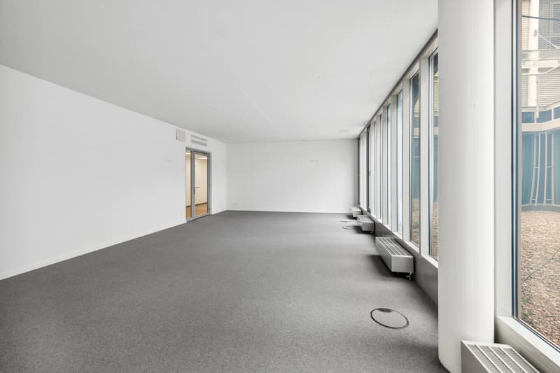 Entrare e iniziare. Spazio ufficio moderno nel centro di Brugg. (3)