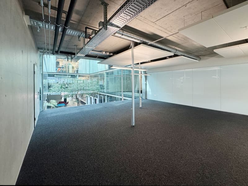 342m² - Representative office space in an attractive location as a partial area (9)
