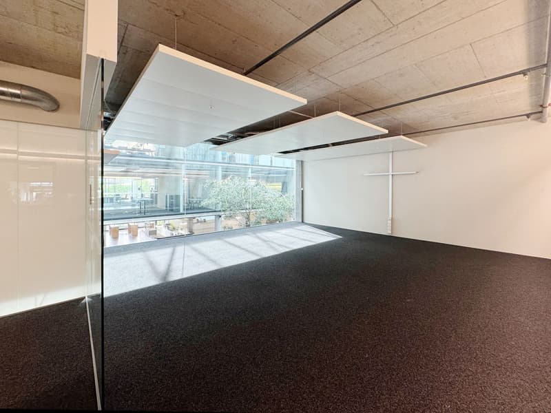 342m² - Representative office space in an attractive location as a partial area (10)