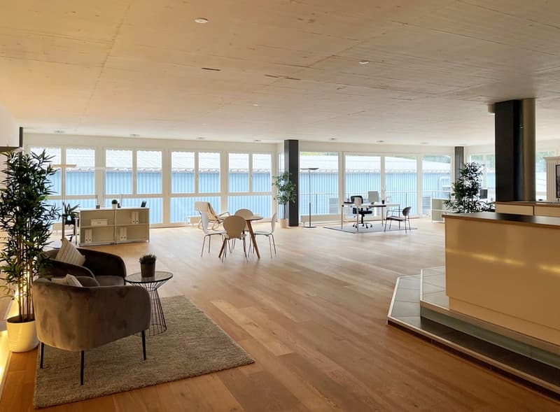 Helle Büro-/Gewerbefläche mit Sitzungszimmer, Küche und Nasszelle (1)
