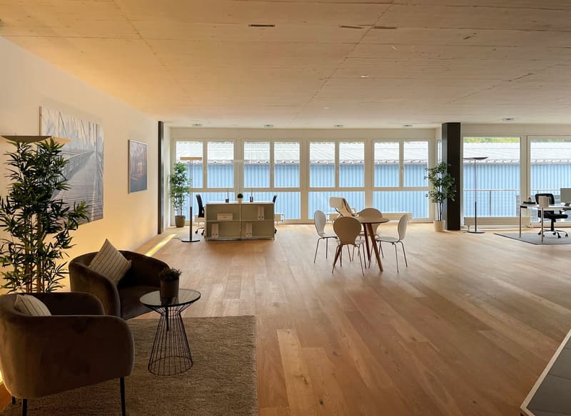 Helle Büro-/Gewerbefläche mit Sitzungszimmer, Küche und Nasszelle (4)