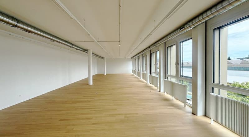 Bright, modern, and fully developed rental space in Triamal (2)