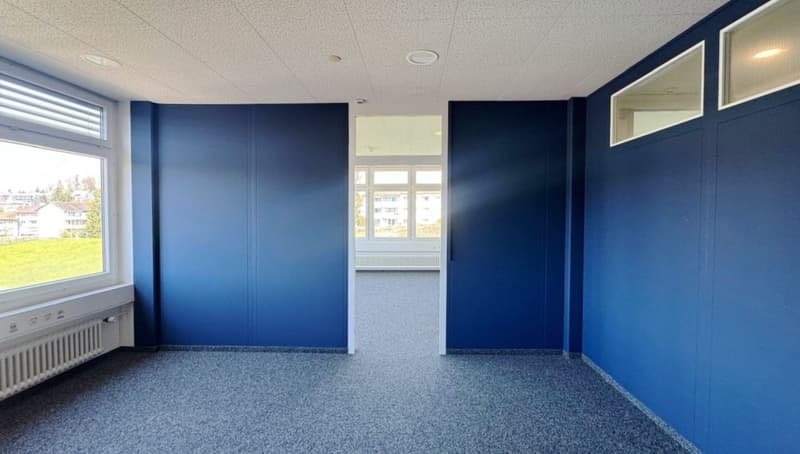 Bright two-room office (1)