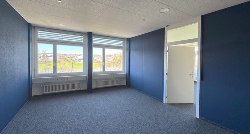 Bright two-room office (3)