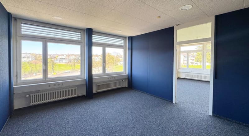 Bright two-room office (2)