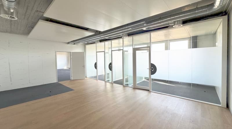 Spazio commerciale moderno e luminoso nel Triamal (2)