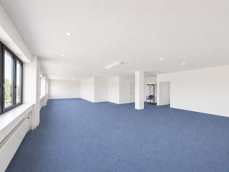 Entire building section and approx. 1'500 m² outdoor space available! (4)