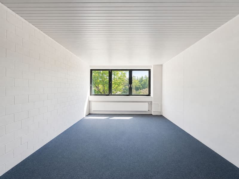 Entire building section and approx. 1'500 m² outdoor space available! (11)