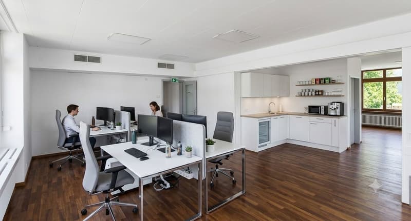 Flächen für Gewerbe, Dienstleister, Büro - Parking direkt vor der Türe! (4)