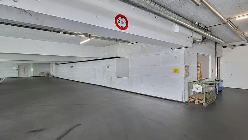 Befahrbare Gewerbeflächen im TechCenter Reinach! (2)