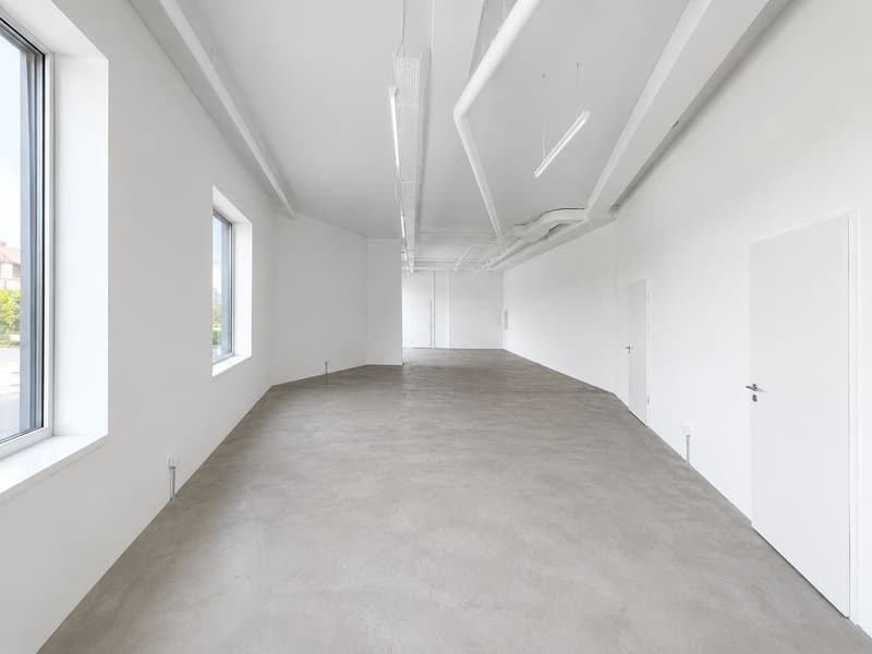 Commercial space on the ground floor for services, sales or office! (4)