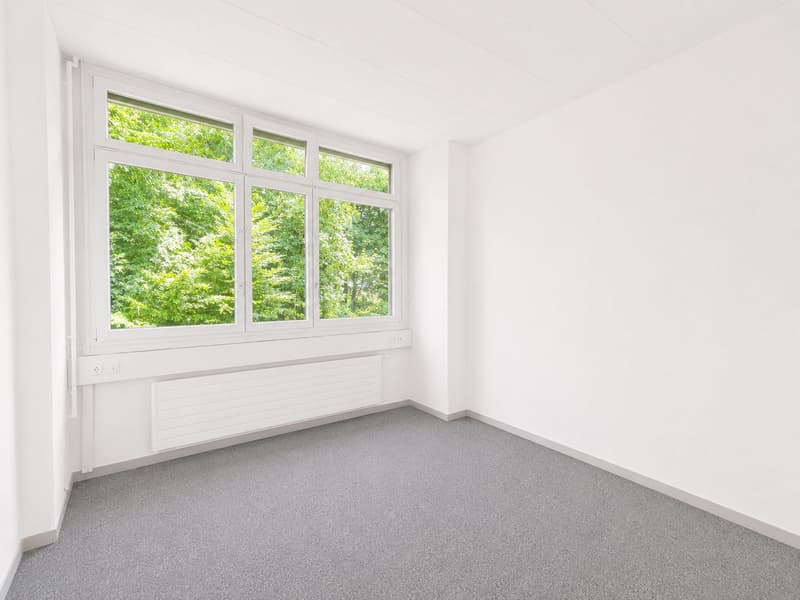 Flexibly expandable ground floor space - with water connection in Regensdorf! (7)