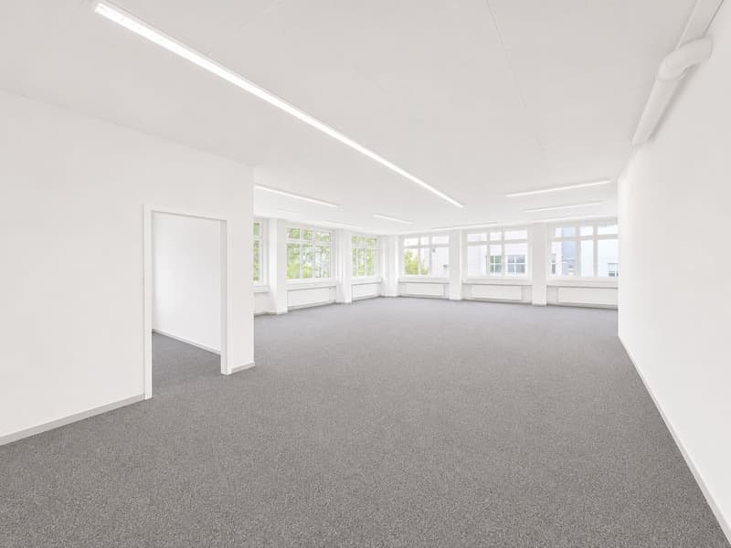 Flexibly expandable ground floor space - with water connection in Regensdorf! (3)