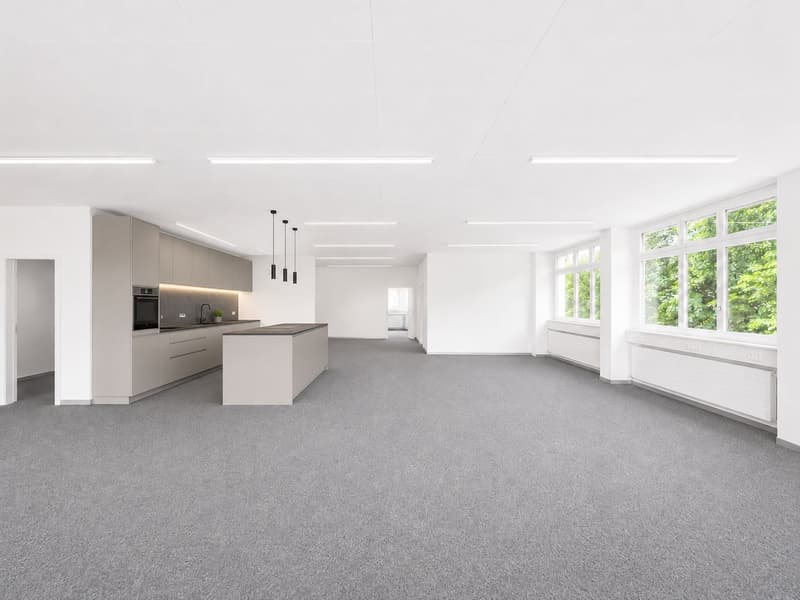 Flexibly expandable ground floor space - with water connection in Regensdorf! (5)
