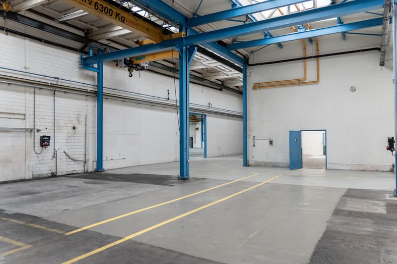 Hohe Lager-/Gewerbehalle mit ebenerdigem Zugang - 550 m² (6)