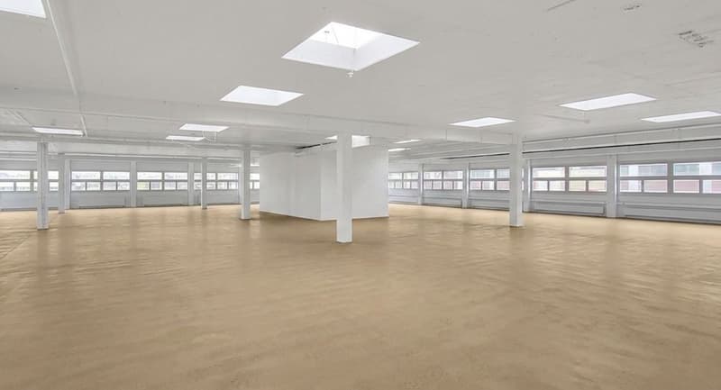 JETZT auch Teilflächen mit viel Tageslicht! (8)