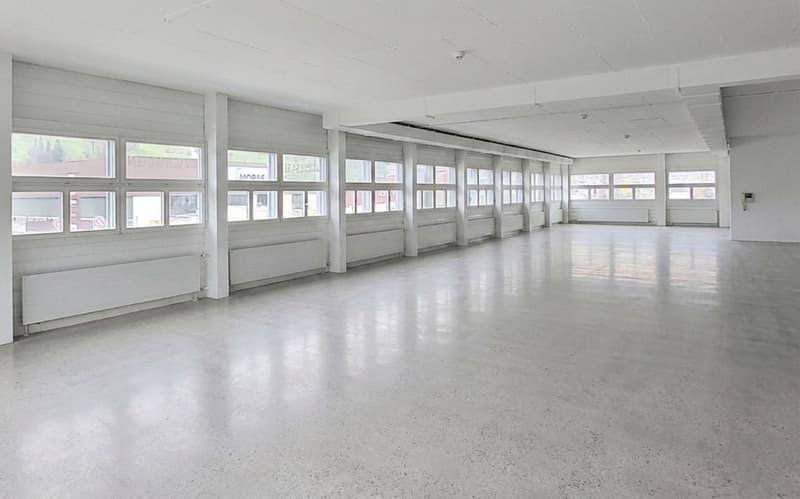 JETZT auch Teilflächen mit viel Tageslicht! (4)