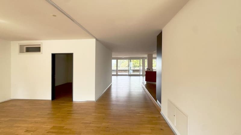 Exklusive & lichtdurchflutete Gewerbe-/Bürofläche (173 m²) mit 2 Terrassen in Schindellegi (3)