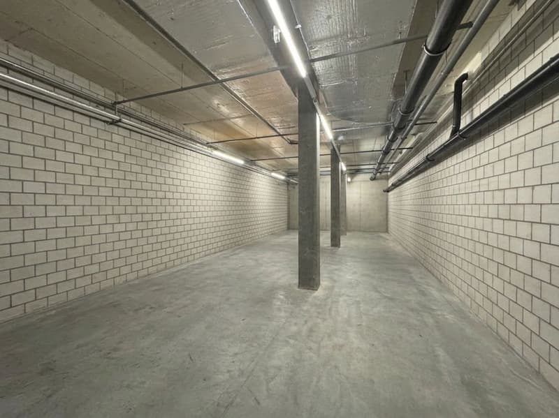 323m² - Lagerfläche im 1. UG mit guter Erschliessung (3)