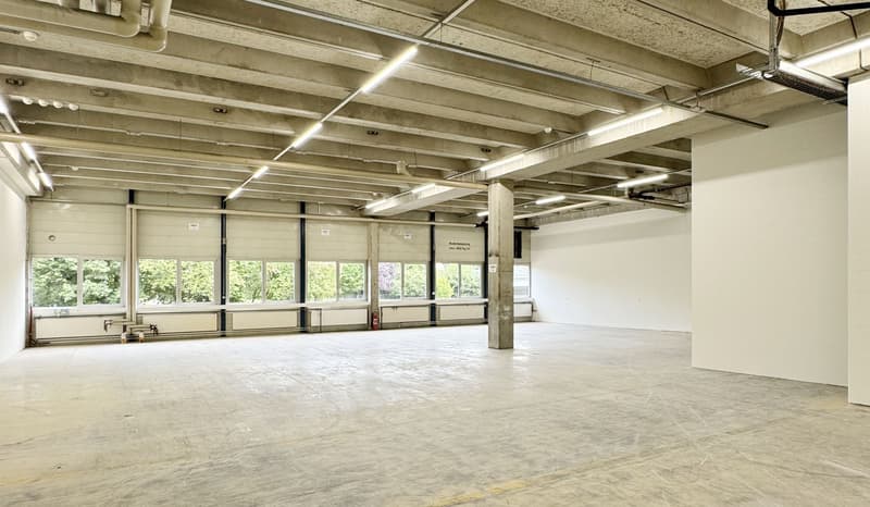 560m² - Moderne Industriehalle mit optimaler Ausstattung in Biberist (3)
