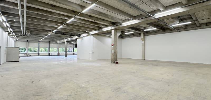 560m² - Moderne Industriehalle mit optimaler Ausstattung in Biberist (12)