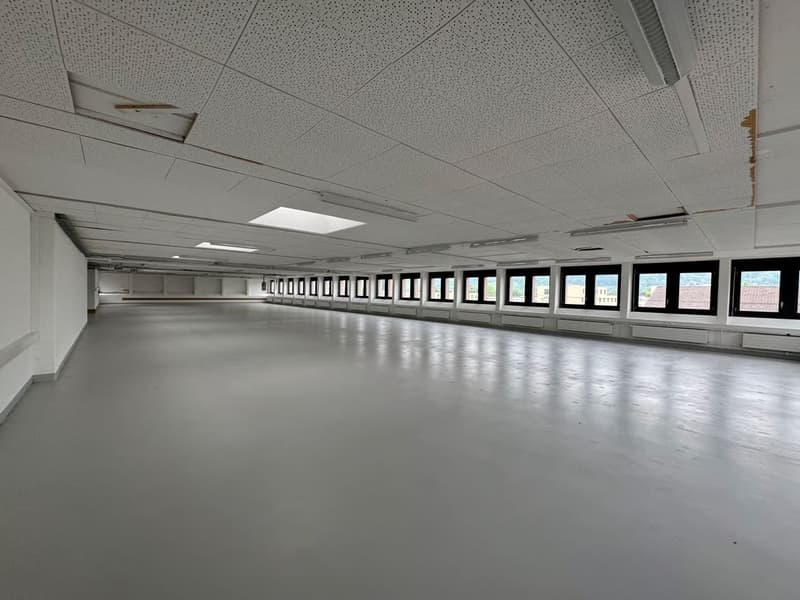 550m2 offene Bürofläche mit vielen Möglichkeiten (6)