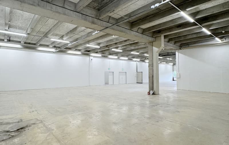 Werkstatt-/Gewerbefläche mit Lagerpotenzial – 560 m² ideal für Handwerk & Produktion (1)