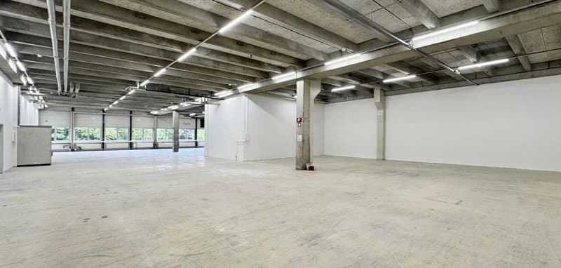 Werkstatt-/Gewerbefläche mit Lagerpotenzial – 560 m² ideal für Handwerk & Produktion (7)