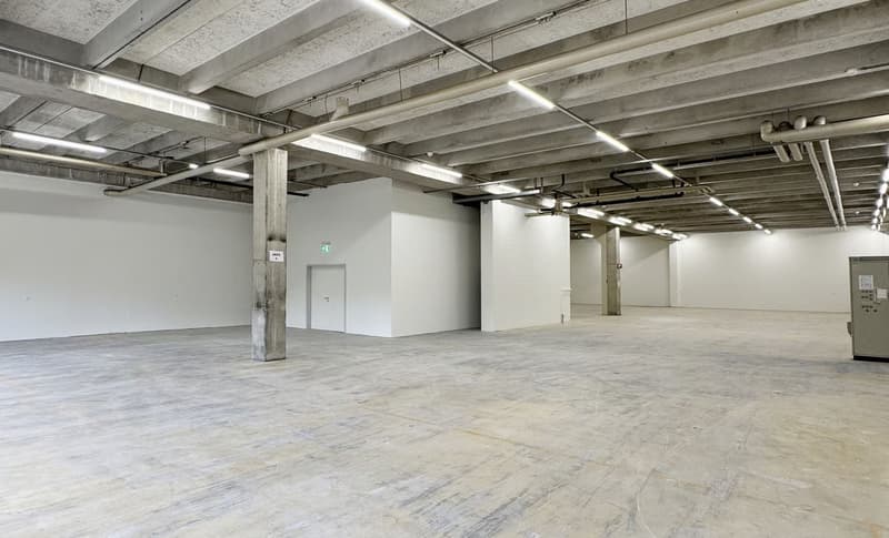 Werkstatt-/Gewerbefläche mit Lagerpotenzial – 560 m² ideal für Handwerk & Produktion (9)