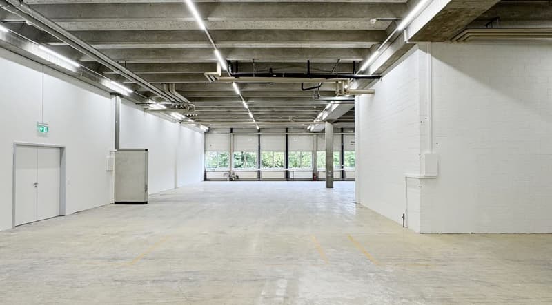 Werkstatt-/Gewerbefläche mit Lagerpotenzial – 560 m² ideal für Handwerk & Produktion (4)