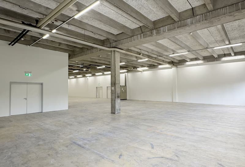 Werkstatt-/Gewerbefläche mit Lagerpotenzial – 560 m² ideal für Handwerk & Produktion (8)