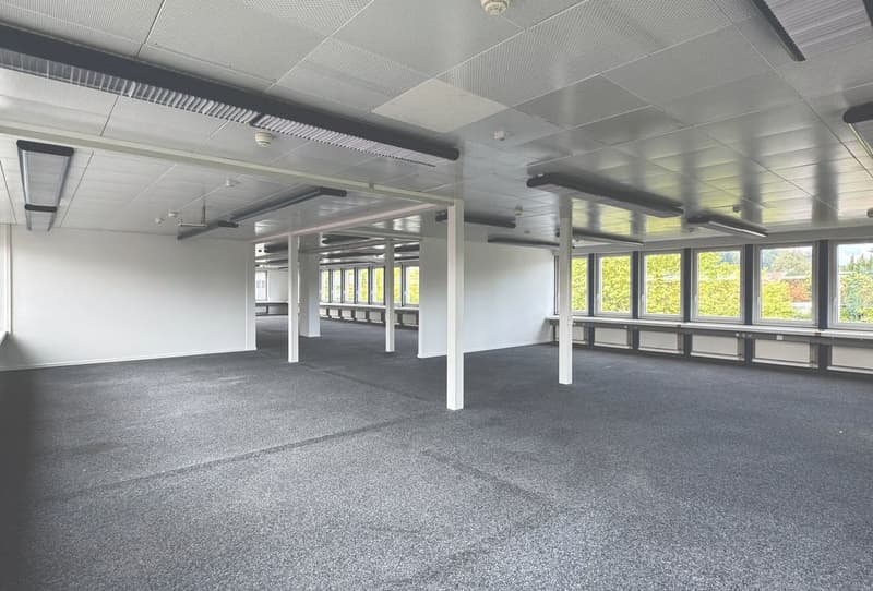 Preiswerte Bürofläche mit 318 m² – ideal für KMU oder Kombination mit Lager (8)